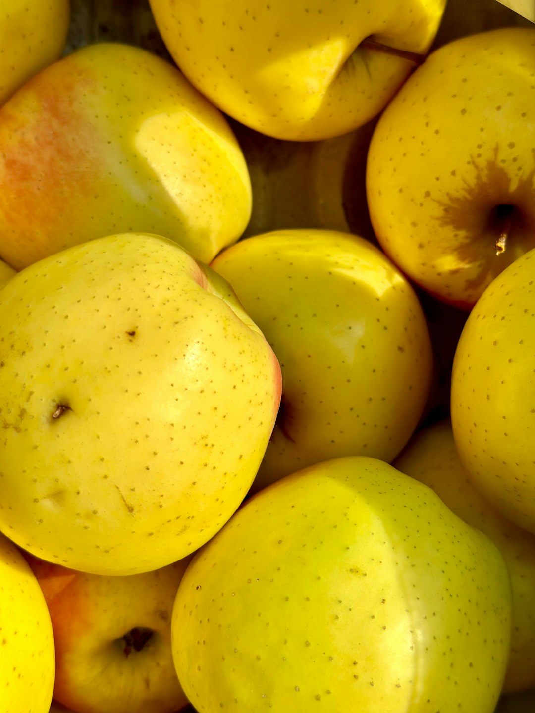 Boost metabolism after 40